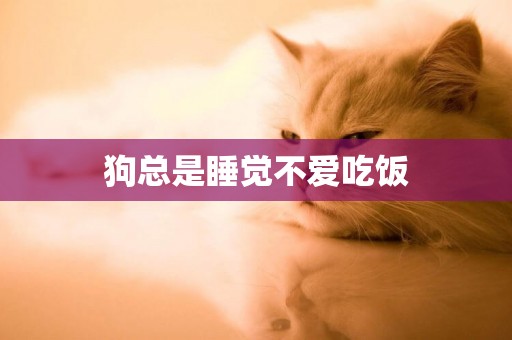 狗總是睡覺不愛吃飯