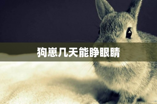 狗崽幾天能睜眼睛