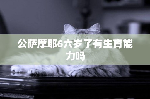 公薩摩耶6六歲了有生育能力嗎