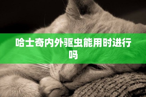 哈士奇內外驅蟲能用時進行嗎