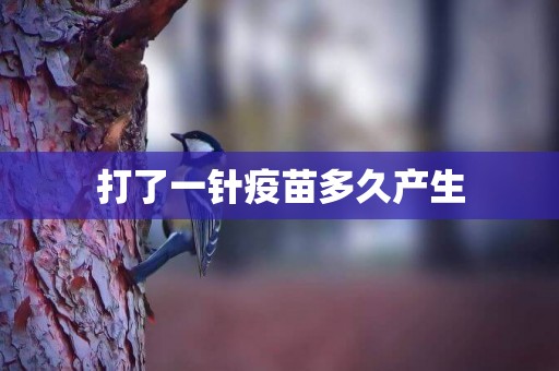 打了一針疫苗多久產生