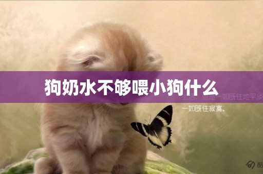 狗奶水不夠喂小狗什么