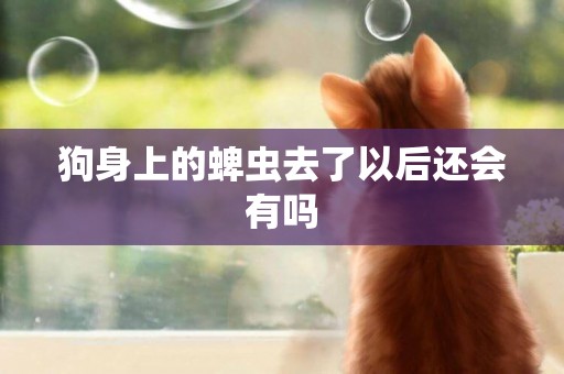狗身上的蜱蟲去了以后還會有嗎
