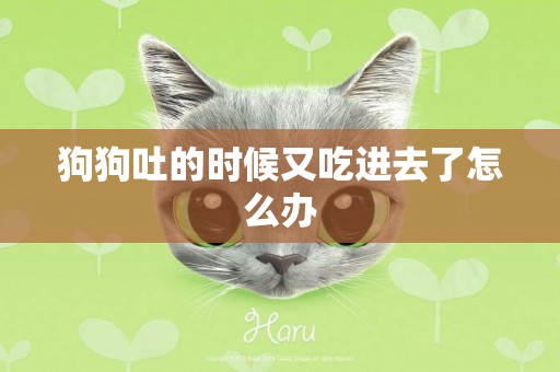 狗狗吐的時候又吃進去了怎么辦