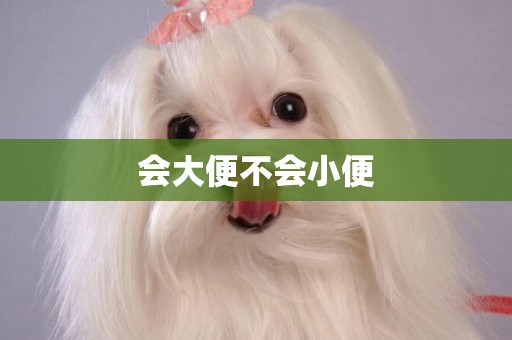 會大便不會小便