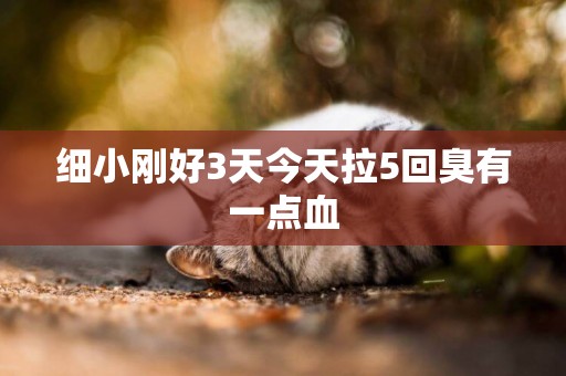 細小剛好3天今天拉5回臭有一點血