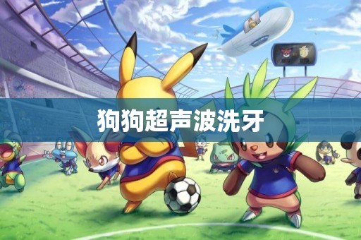 狗狗超聲波洗牙