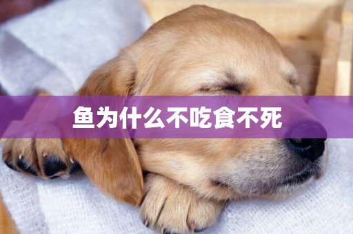 魚為什么不吃食不死