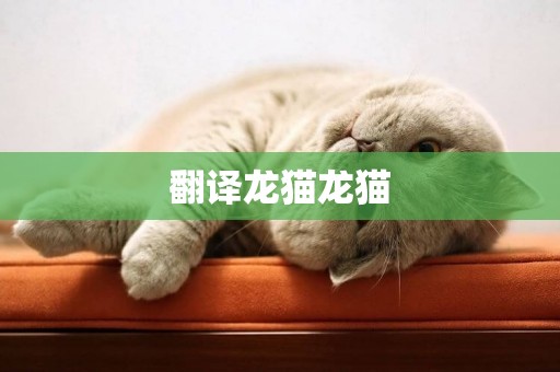翻譯龍貓龍貓