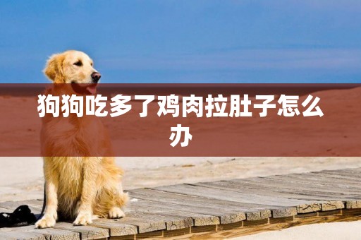 狗狗吃多了雞肉拉肚子怎么辦