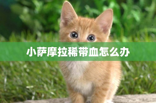小薩摩拉稀帶血怎么辦