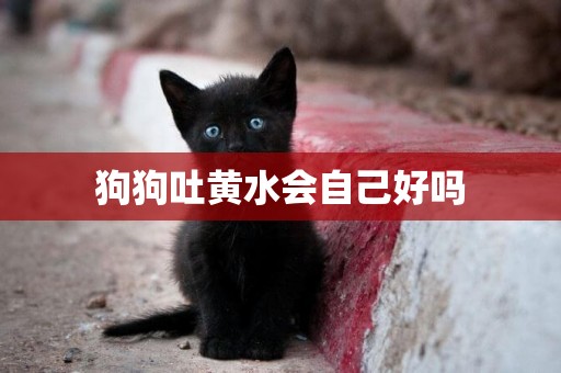 狗狗吐黃水會自己好嗎