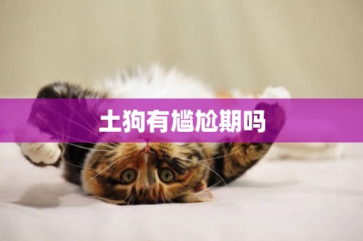 土狗有尷尬期嗎