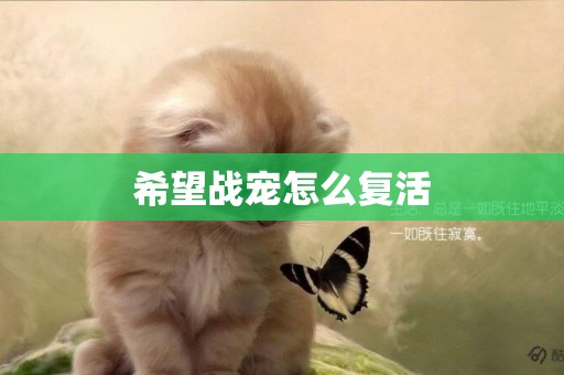 希望戰寵怎么復活