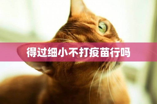 得過細小不打疫苗行嗎