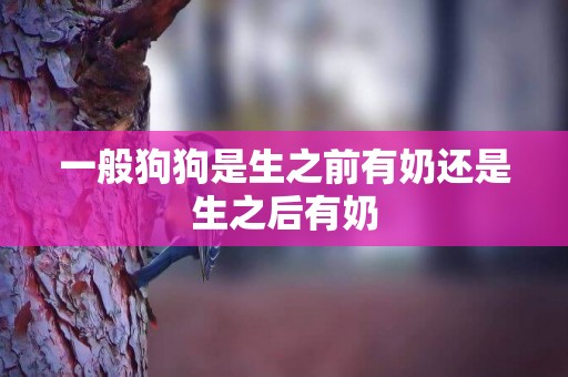 一般狗狗是生之前有奶還是生之后有奶
