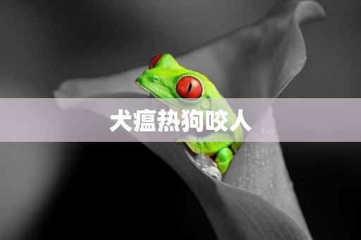 犬瘟熱狗咬人