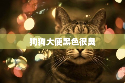 狗狗大便黑色很臭
