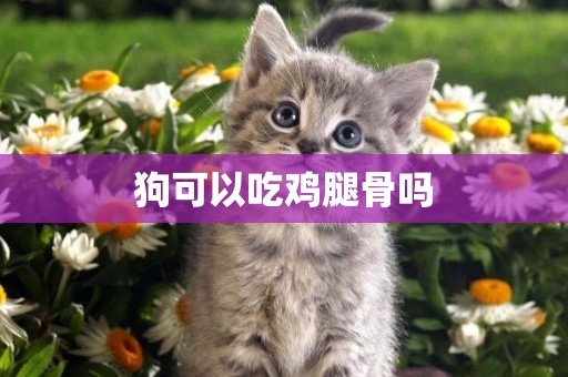 狗可以吃雞腿骨嗎