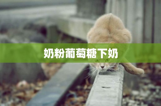 奶粉葡萄糖下奶