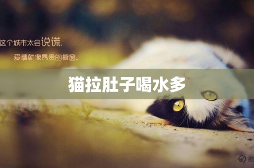 貓拉肚子喝水多