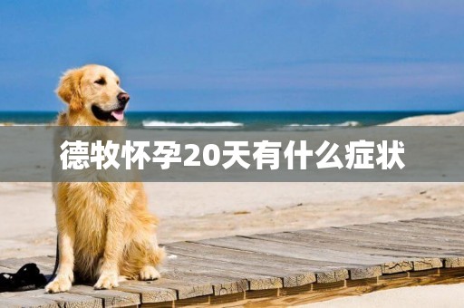 德牧懷孕20天有什么癥狀