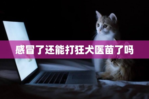 感冒了還能打狂犬醫苗了嗎
