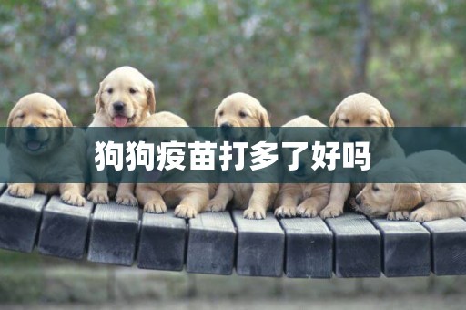 狗狗疫苗打多了好嗎