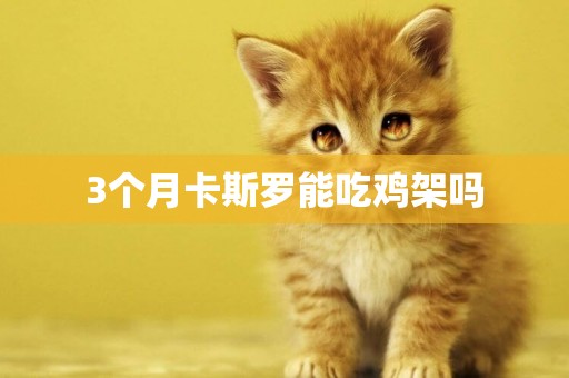 3個月卡斯羅能吃雞架嗎