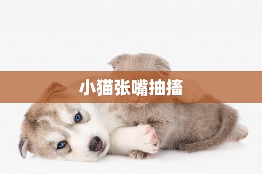 小貓張嘴抽搐