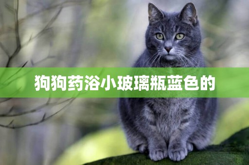 狗狗藥浴小玻璃瓶藍色的