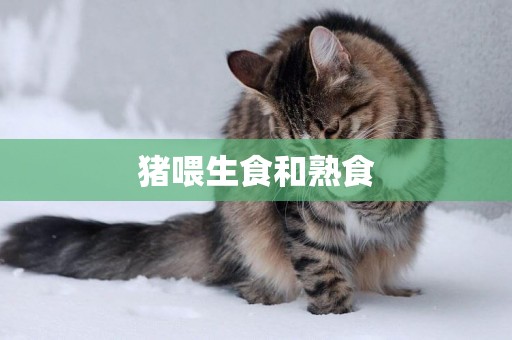 豬喂生食和熟食