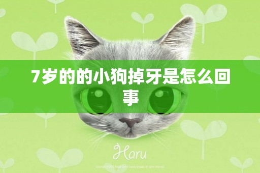 7歲的的小狗掉牙是怎么回事