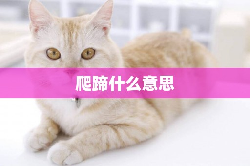 爬蹄什么意思