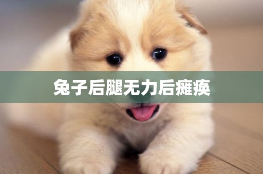 兔子后腿無力后癱瘓