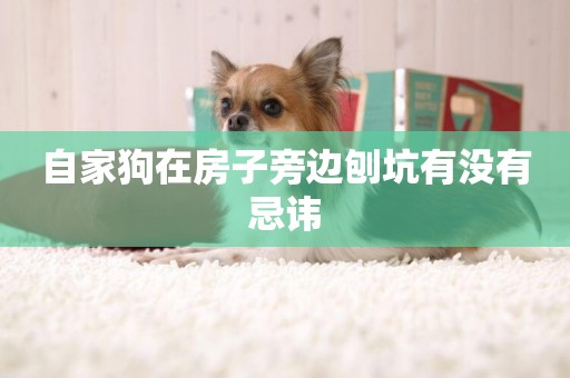 自家狗在房子旁邊刨坑有沒有忌諱