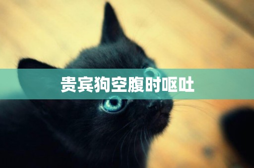 貴賓狗空腹時嘔吐