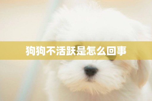 狗狗不活躍是怎么回事