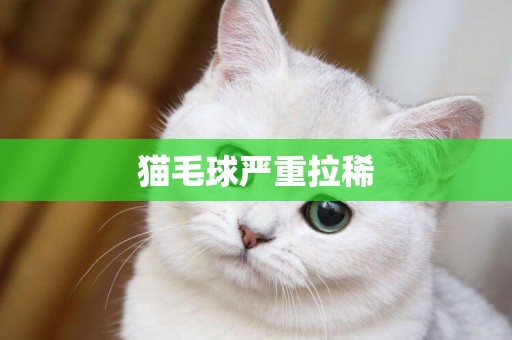 貓毛球嚴重拉稀