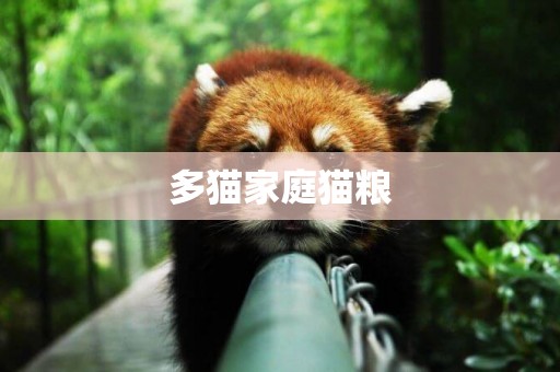 多貓家庭貓糧
