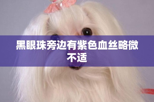 黑眼珠旁邊有紫色血絲略微不適