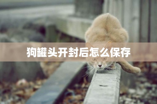 狗罐頭開封后怎么保存