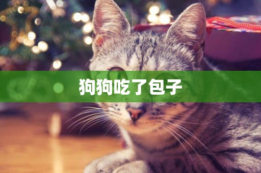 狗狗吃了包子