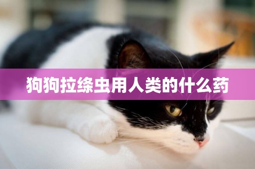 狗狗拉絳蟲用人類的什么藥
