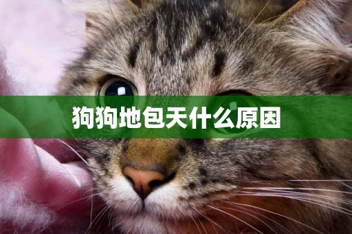 狗狗地包天什么原因