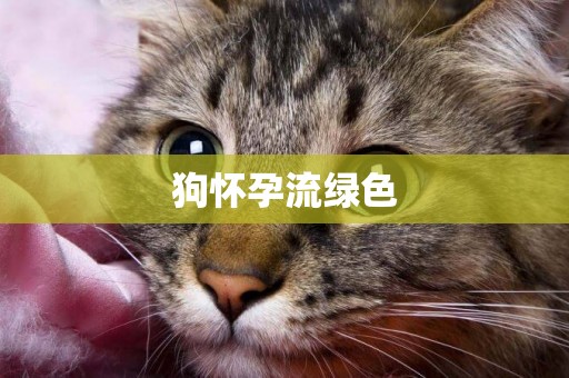 狗懷孕流綠色