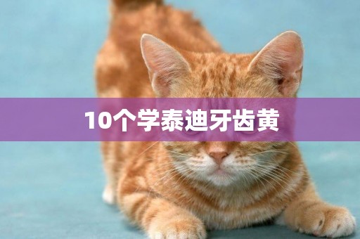 10個學泰迪牙齒黃