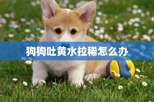 狗狗吐黃水拉稀怎么辦