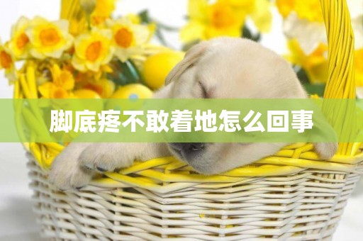 腳底疼不敢著地怎么回事