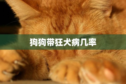 狗狗帶狂犬病幾率